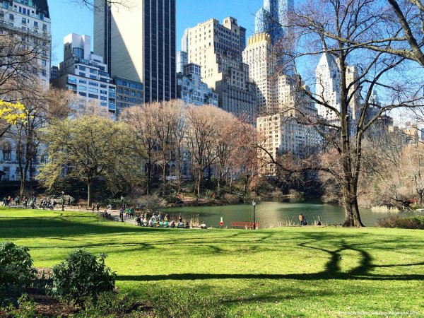 ньюйоркский центральный парк