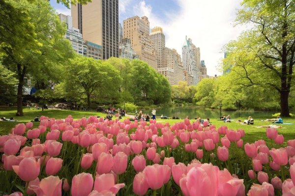 spring in new york
