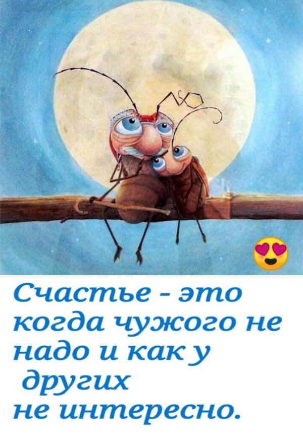 милые тараканы