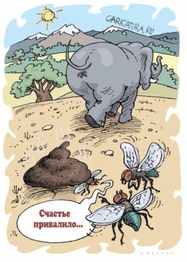 карикатура для детей