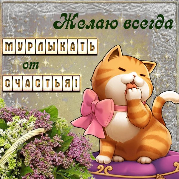 открытки хорошего настроения удачи