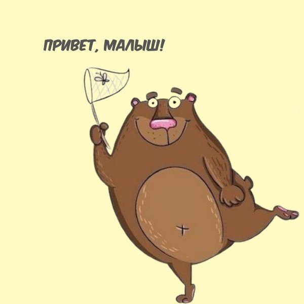 иллюстрация медведь