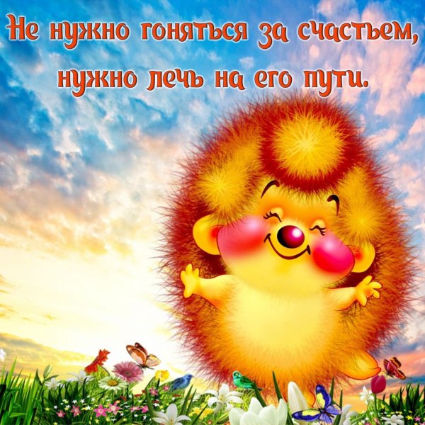 желтый ежик