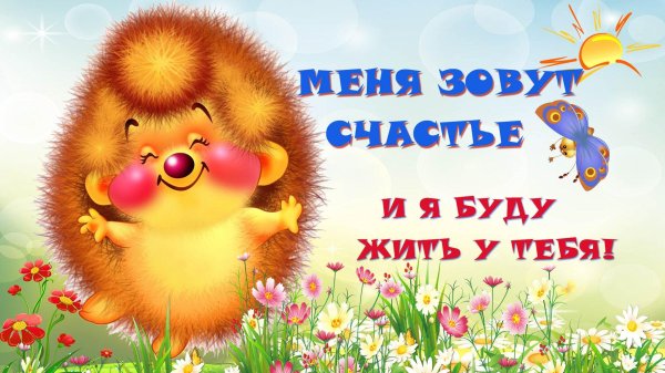 ежик и солнышко