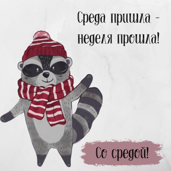 енот иллюстрация