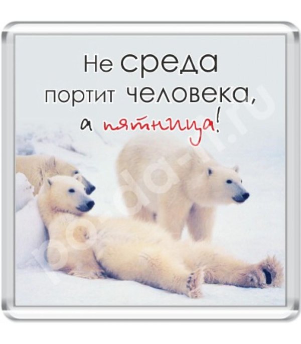 белая медведь