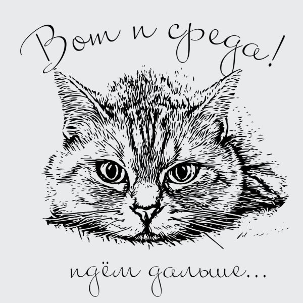 эскизы котиков