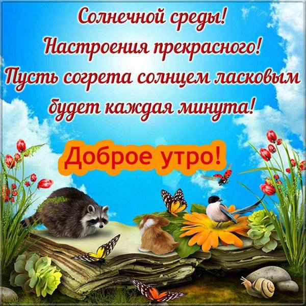 Среда прикольные