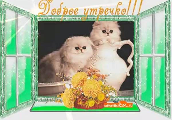 открытки доброй среды