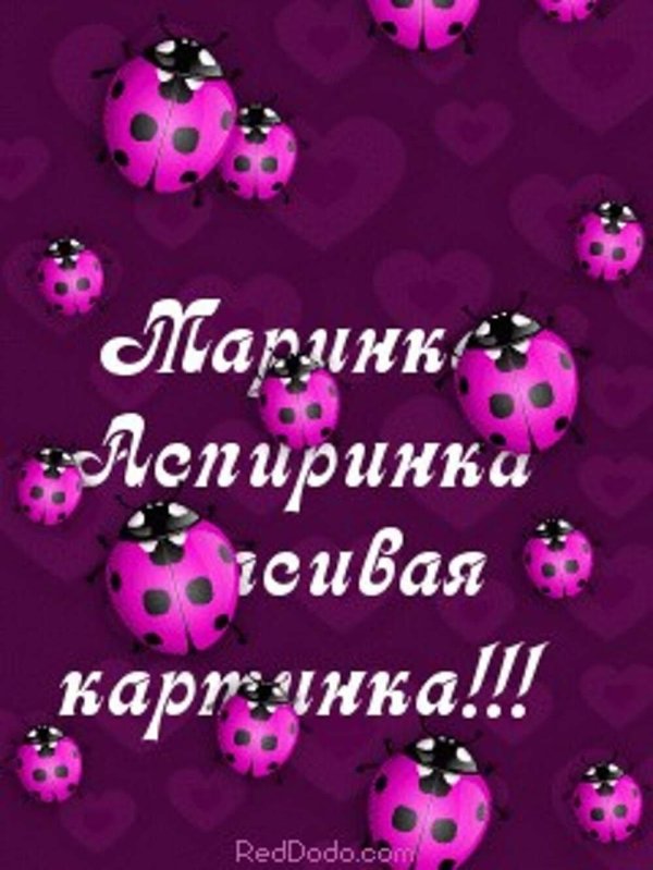 ladybug божья коровка