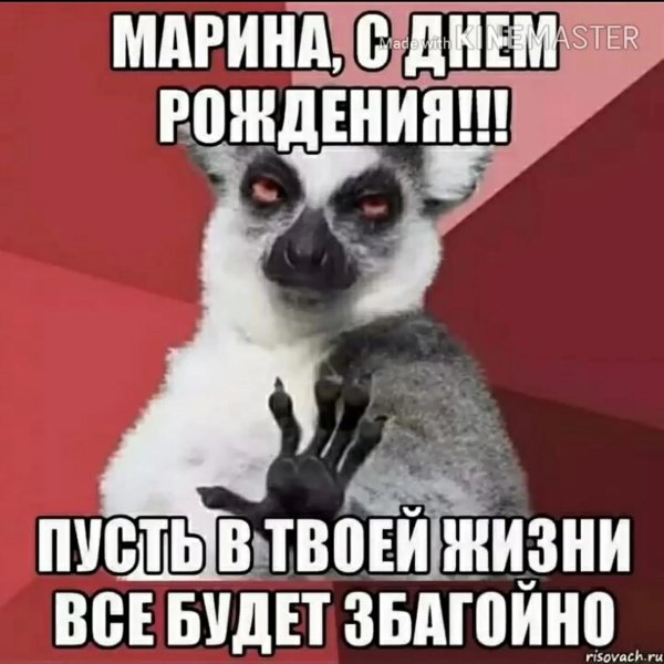 лемур узбагойся