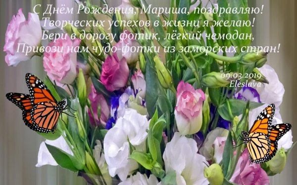 данаида монарх