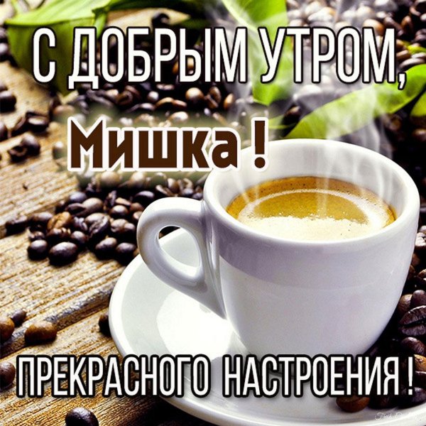 доброе утро со зверюшками и пожеланиями