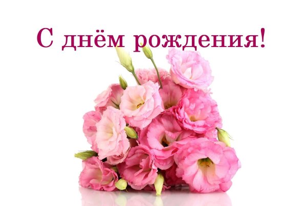 эустома розовая