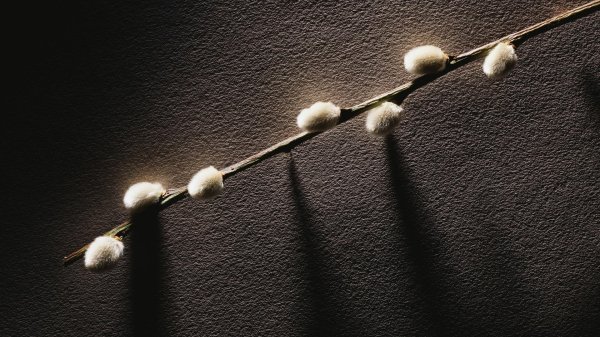 вербное воскресение