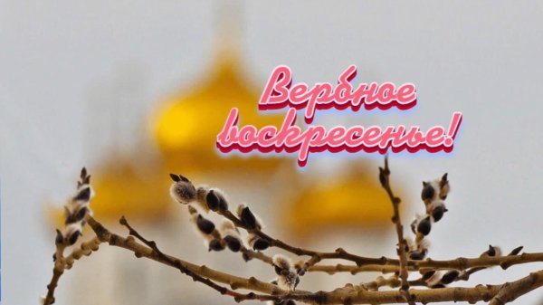 с вербным воскресеньем поздравления