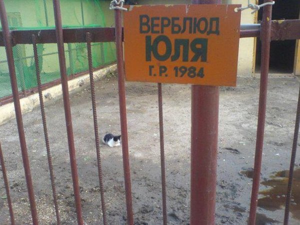 зоопарк казань новый