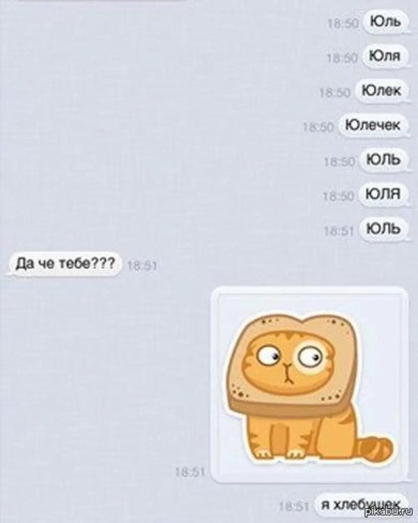 кот персик