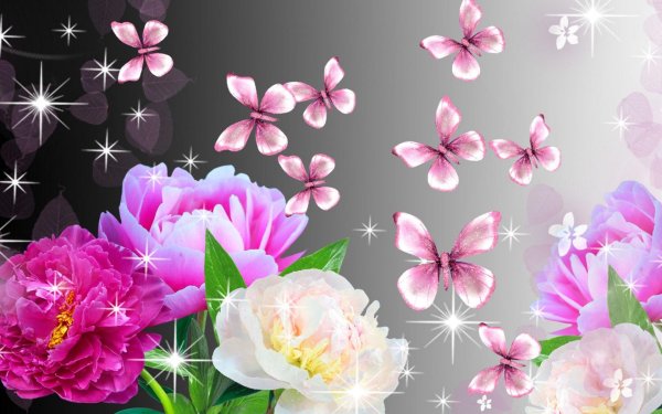 цветочные фоны