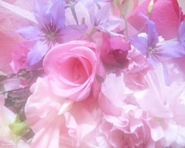 открытка нежные цветы