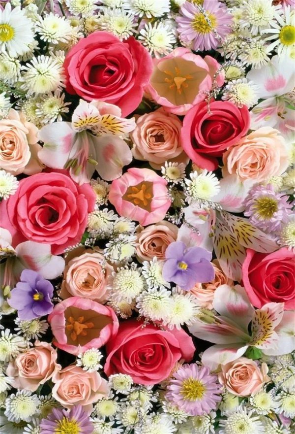 красивые цветочки