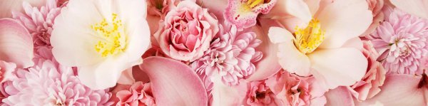 фон цветочный нежный