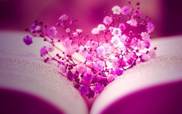 розовый цвет любви