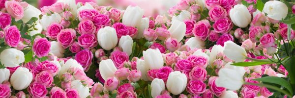 цветочные фоны