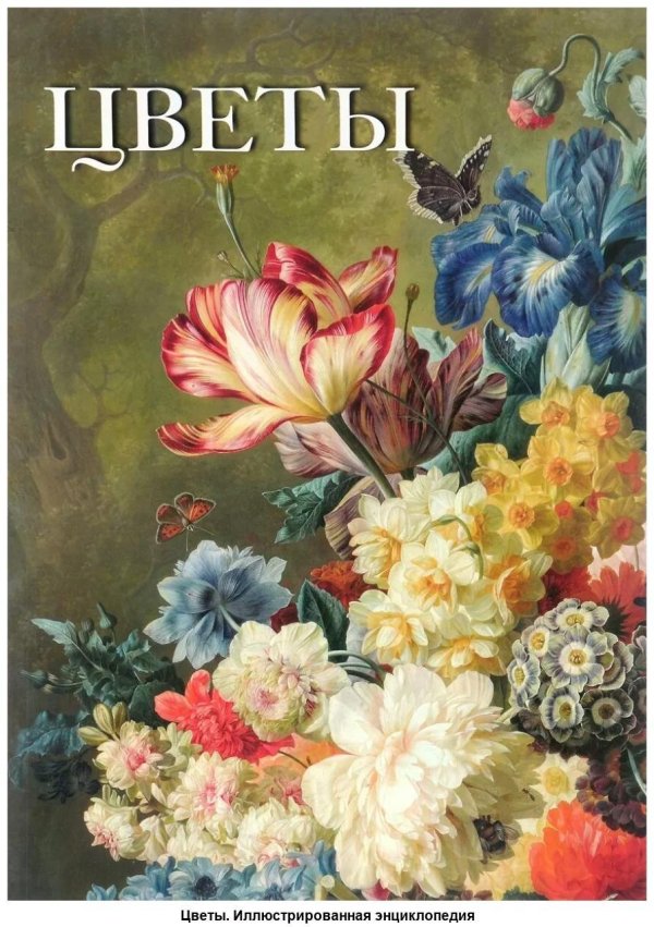 книги о цветах