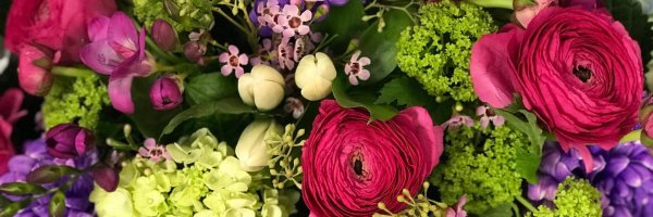 цветок ранункулюс