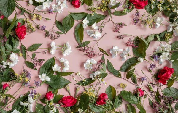 цветочные фоны