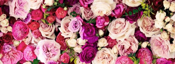 цветочные фоны