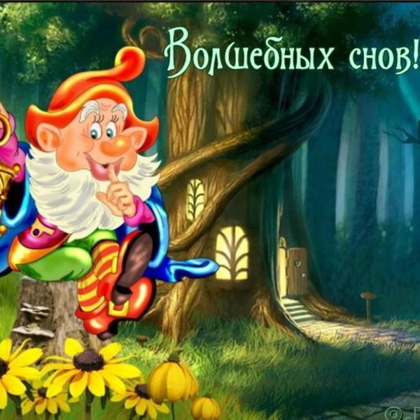 доброй ночи гномы