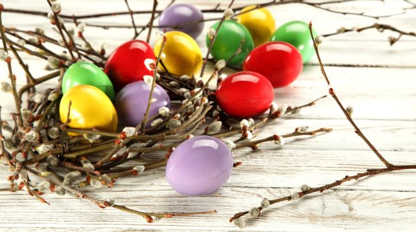 пасхальная верба