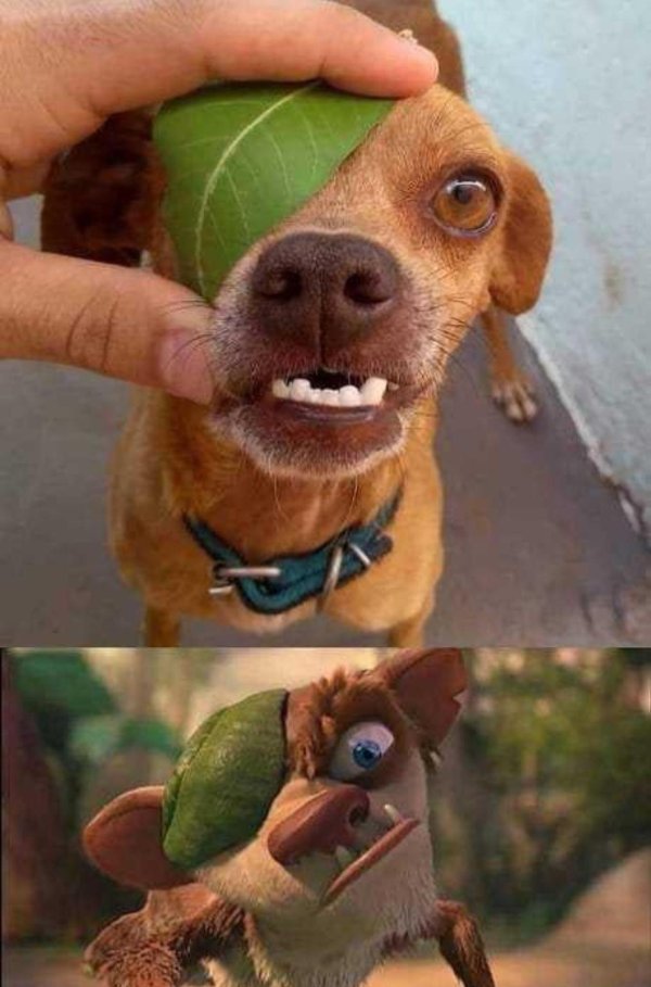 чтото прикольное