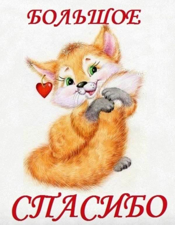 иллюстрации животных