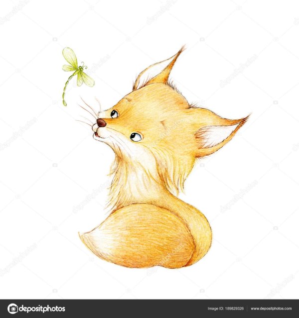 фаенкова елена иллюстрации