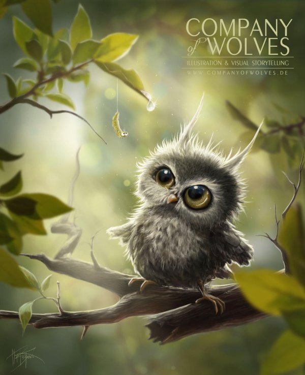 милые совушки