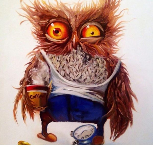 невыспавшаяся сова