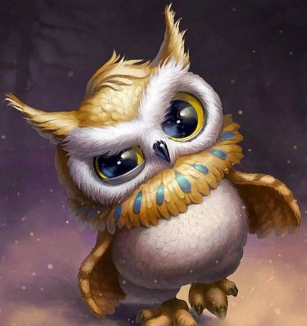 совёнок стив