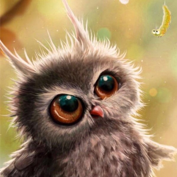 милые совята