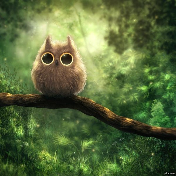 няшные совы