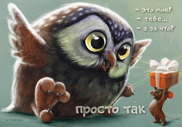 открытка с совой