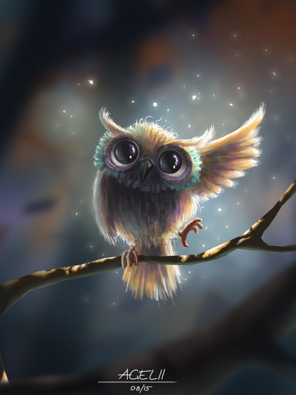 спокойной ночи с совой