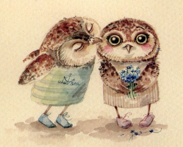 две совушки