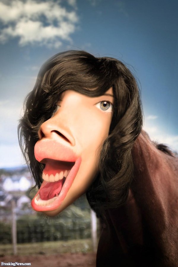 мик джаггер шарж