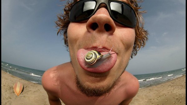 угарные авы