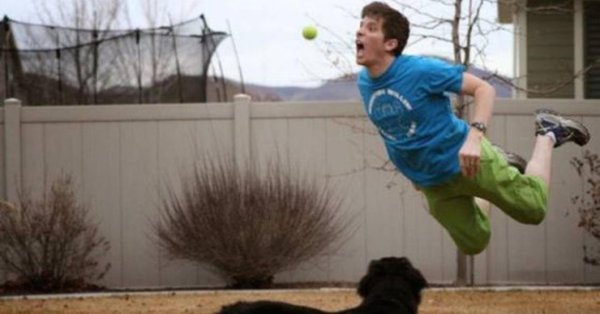 забавные ситуации