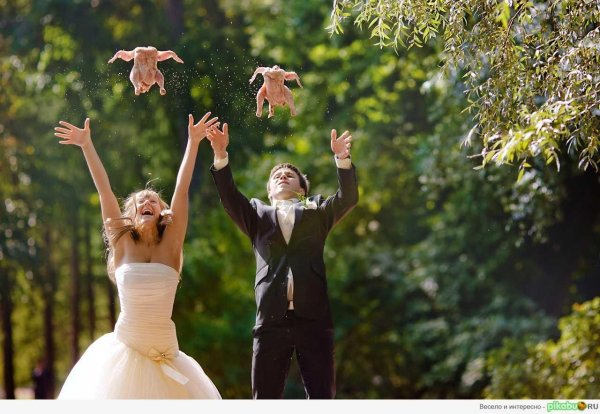 оригинальные свадебные фотосессии