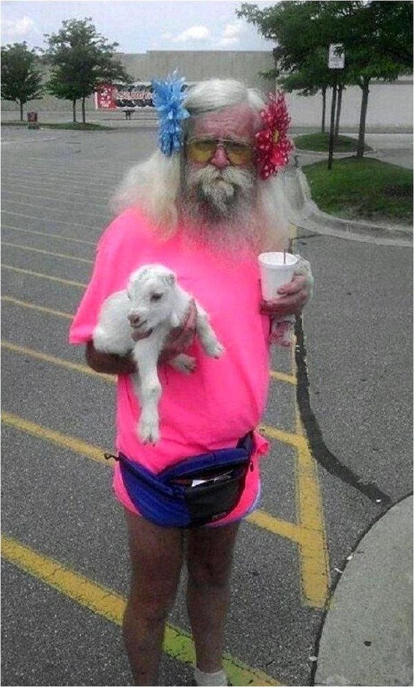 зааненские козы